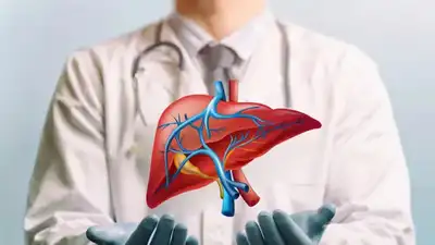 Liver Icon